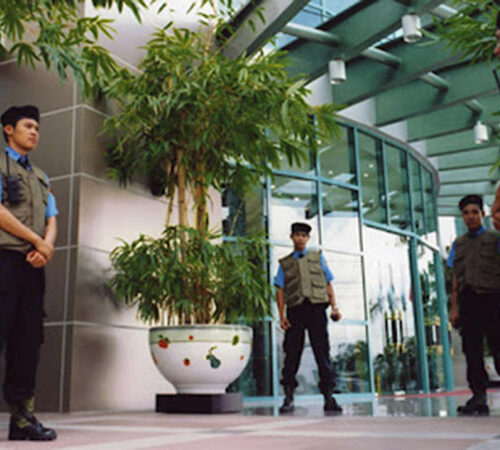 Dịch Vụ Bảo Vệ tại vĩnh long